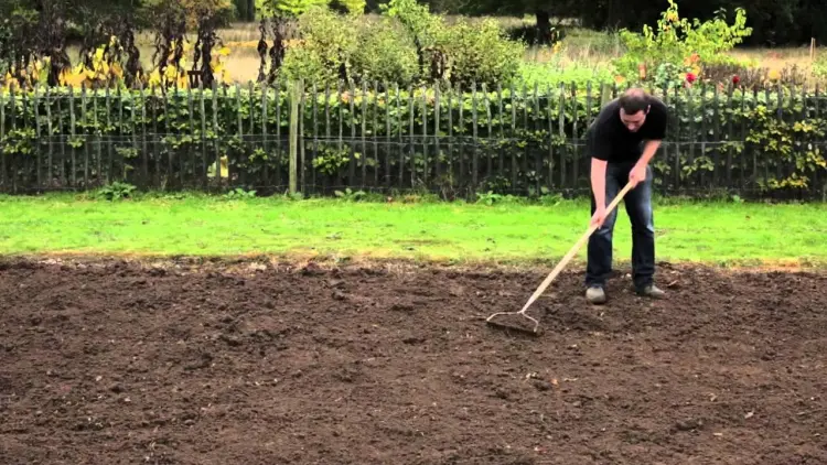 comment préparer le sol avant de semer du gazon en octobre