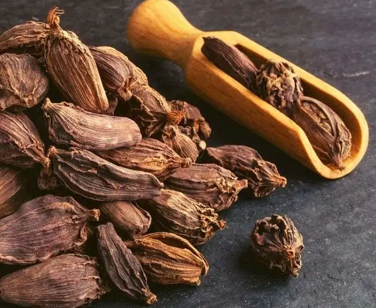 comment utiliser la cardamome noire épice exotique quels bienfaits santé