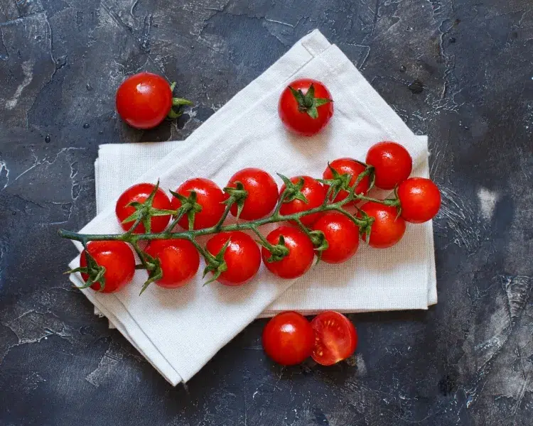 cultiver des tomates en pot à l’intérieur nombreuses variétés tomates cerise bienvenues contenants