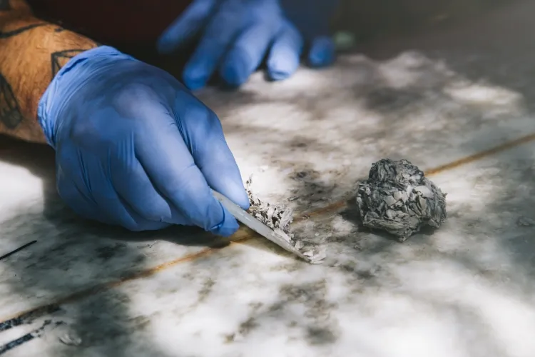 éliminer les vers gris naturellement obliger sortir surface ramasser manuellement