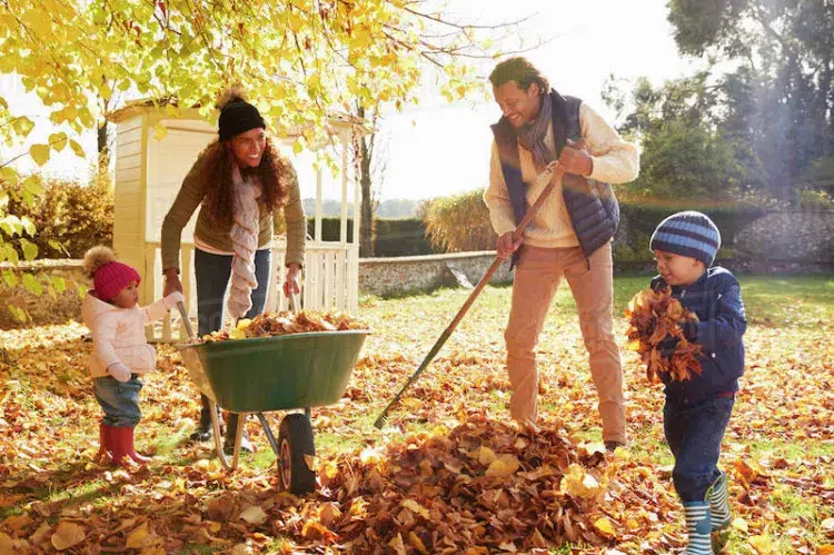 est il utile de ramasser les feuilles mortes 2023