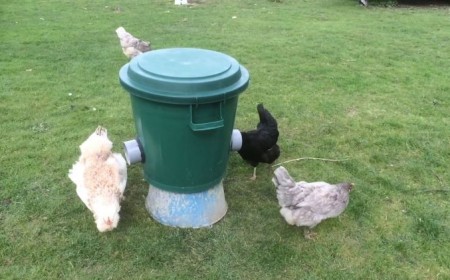 fabriquer une mangeoire pour poules