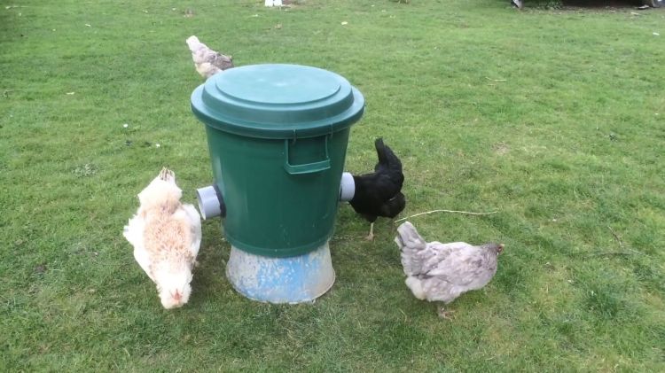 fabriquer une mangeoire pour poules