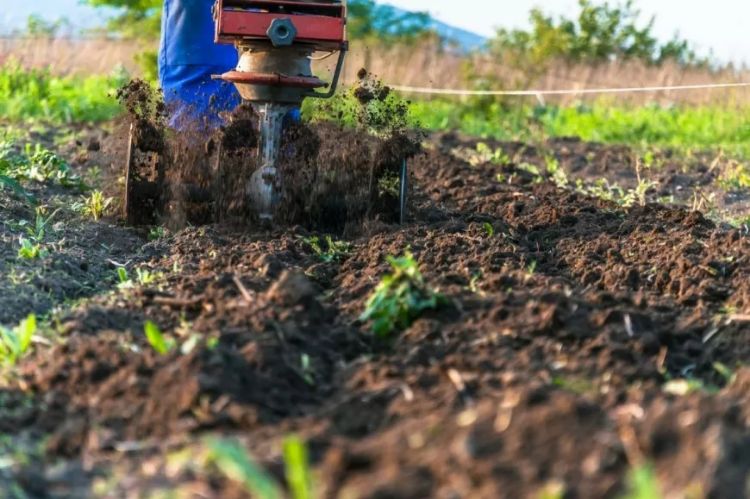 faut il labourer son jardin