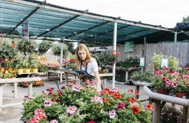 fleurs d'automne pour un jardin à la française choisir quels critères similaires exposition sol humidité