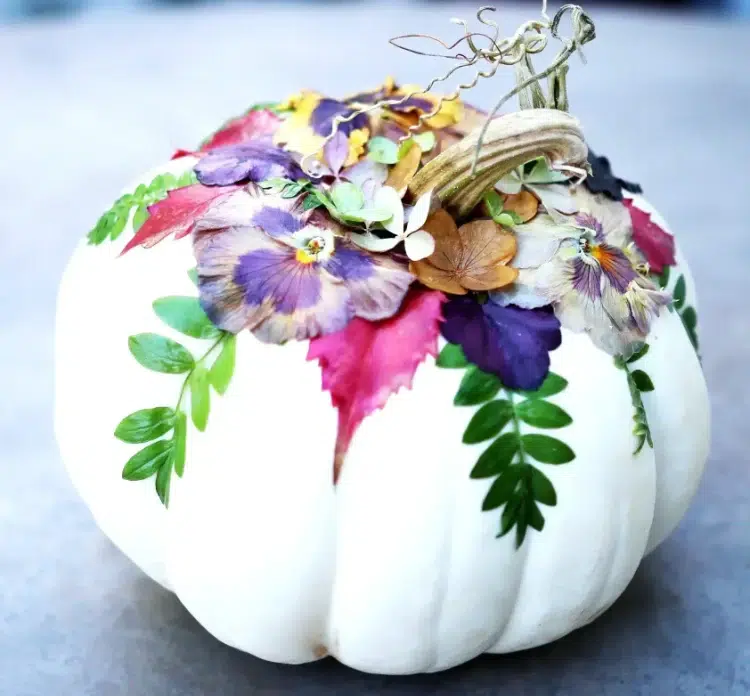 idée décoration automne diy facile à faire citrouilles blanches herbier