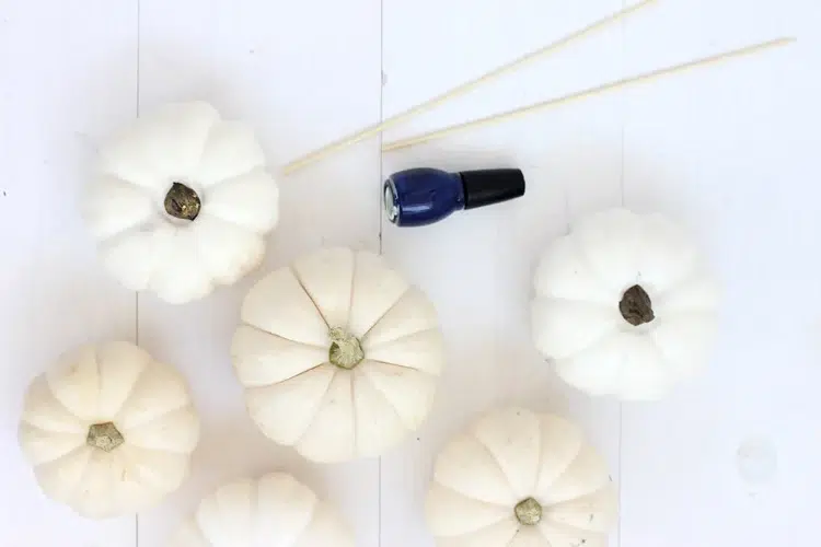 idée décoration automne facile à faire avec citrouilles blanches