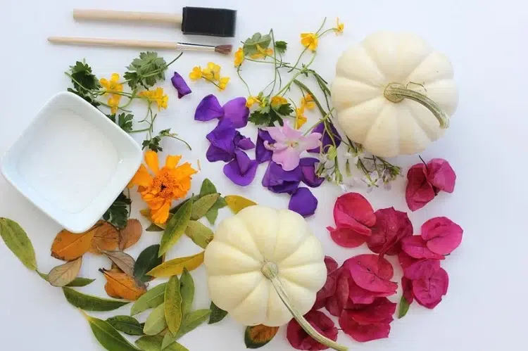 idée décoration automne facile à faire citrouilles blanches herbier tuto