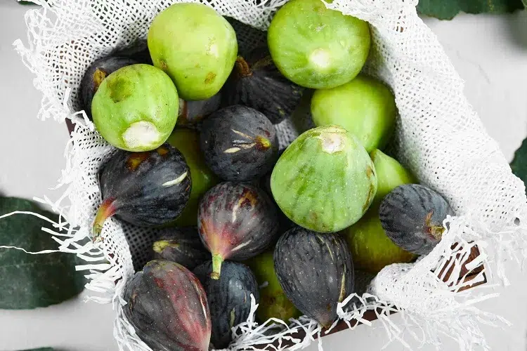 idées comment faire mûrir des figues apres cueillette vertes petites astuces mûrissement