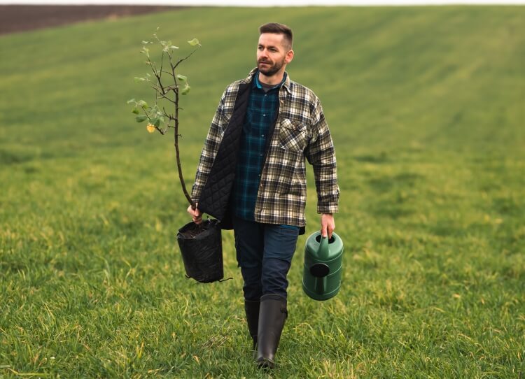 pourquoi planter deux cerisiers autopolliniser mâle femelle cerises douces cerises aigres