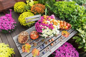 quelles fleurs sur un balcon en septembre idées plantes automne
