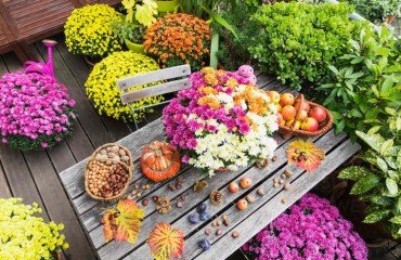 quelles fleurs sur un balcon en septembre idées plantes automne
