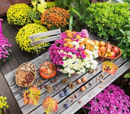 quelles fleurs sur un balcon en septembre idées plantes automne