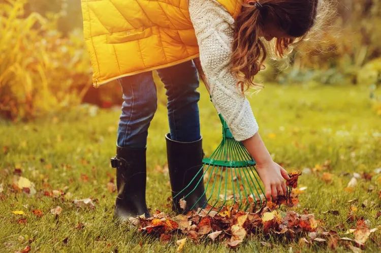 ramasser les feuilles mortes