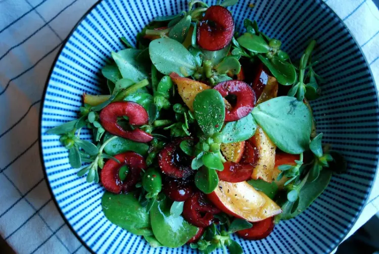 recette facile au pourpier potager salade fraiche fruits saison été automne