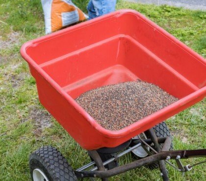 sursemer une pelouse de zéro creuser sol plat fin friable semer arroser fertiliser