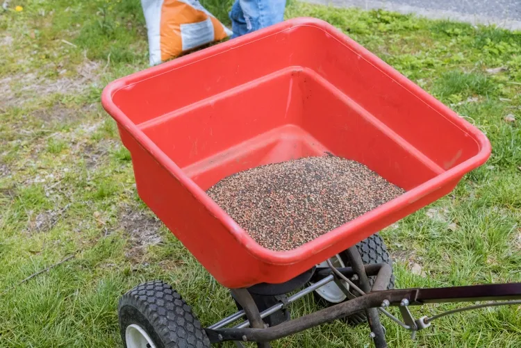 sursemer une pelouse de zéro creuser sol plat fin friable semer arroser fertiliser