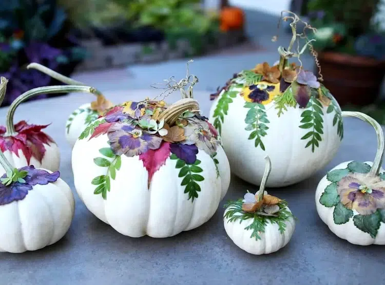 tuto décoration automne facile à faire citrouilles blanches herbier