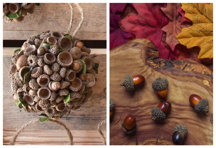 boule de glands décorative diy décoration d'automne avec des glands idées faire soi meme maison