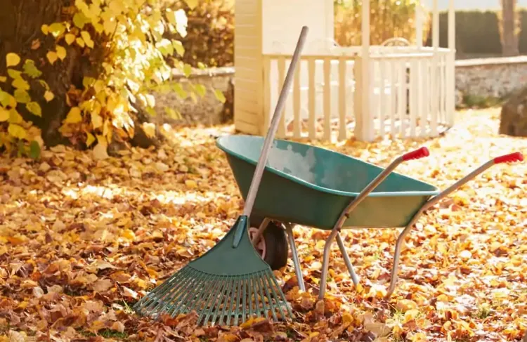 combien de temps une feuille morte met elle à se décomposer comment utiliser les feuilles mortes dans le jardin humus paillage