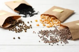 comment ranger les graines hiver astuces organisation categories guirlandes bac boites bois potager