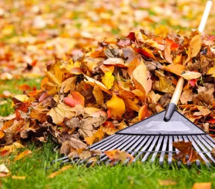 comment utiliser les feuilles mortes dans le jardin decomposer paillage compost gel oxygene