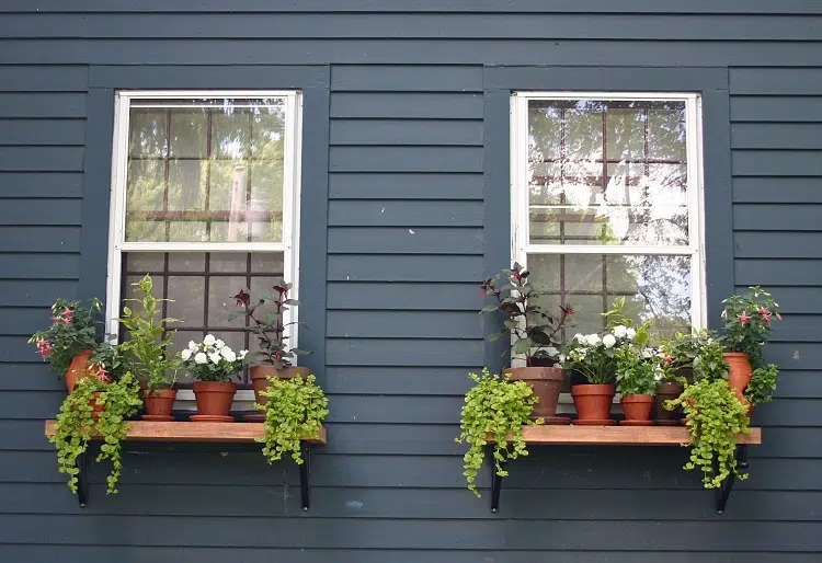 décoration pour rebord de fenêtre extérieur plantes