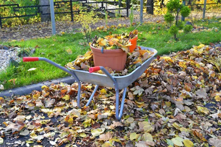 faire un compost comment utiliser les feuilles mortes dans le jardin decomposer paillage enfouir humus