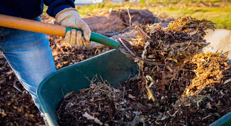 paillage naturel comment utiliser les feuilles mortes dans le jardin decomposer compost gel oxygene co2