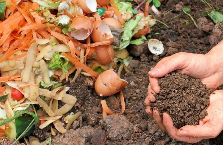 Mauvaises odeurs dans le compost : Causes et solutions