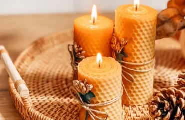 bougies de cire d'abeuille automne déco avec des pommes de pin (1)
