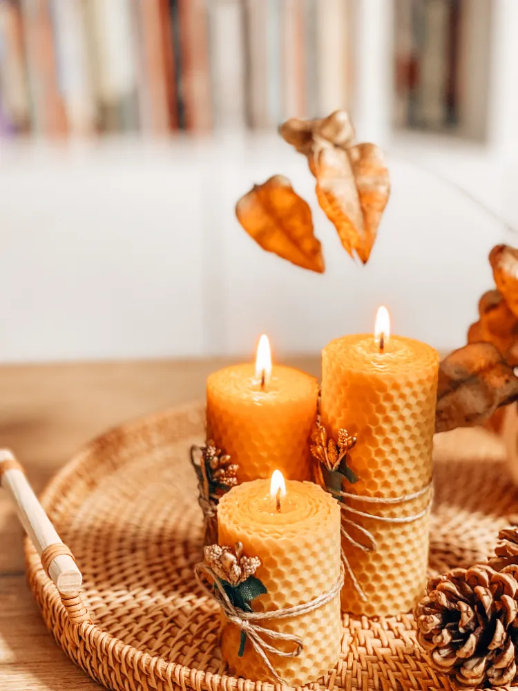 bougies de cire d'abeuille automne déco avec des pommes de pin