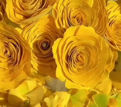 bouquet de fleurs à partir de feuilles de ginkgo biloba arbre aux quarante écus