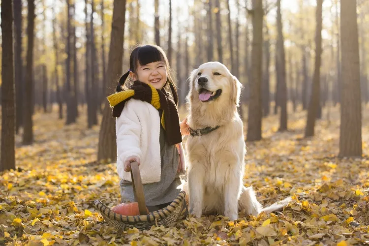 chien mange des feuilles mortes pourquoi raisons conditions médicales carence