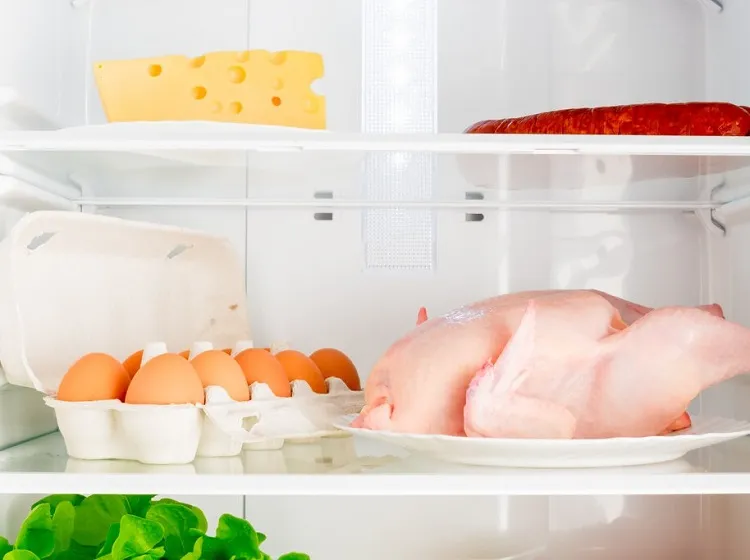 combien de temps garder des produits décongelés au réfrigérateur astuces conseils