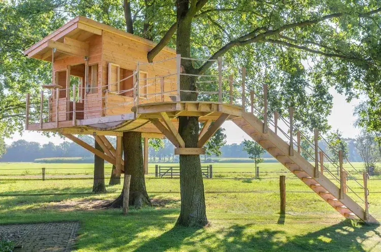 comment construire une cabane dans les arbres 2023