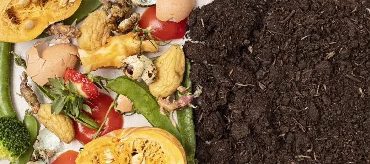 comment eviter les souris dans le compost faire décomposer ordures alimentaires engrais