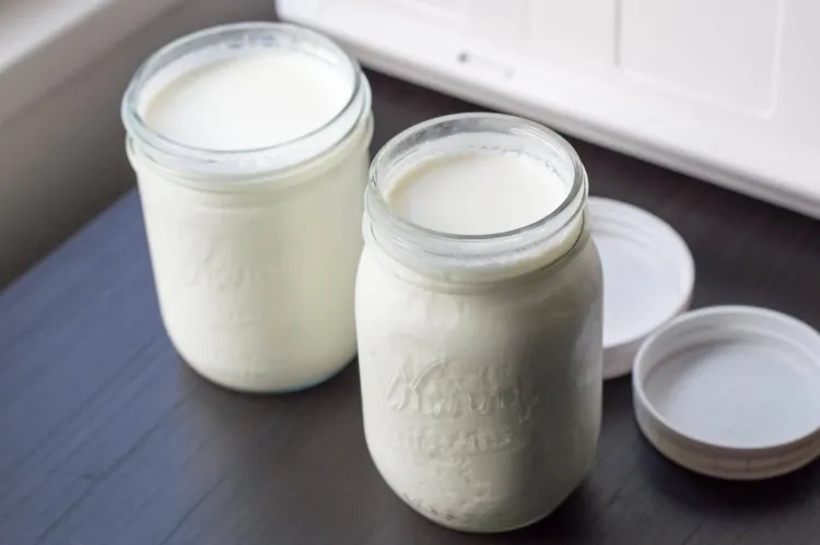 comment fabriquer le yaourt à la maison verser bocaux fermentation incubation température appropriée