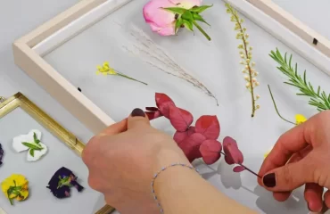comment faire sécher des fleurs pour un herbier