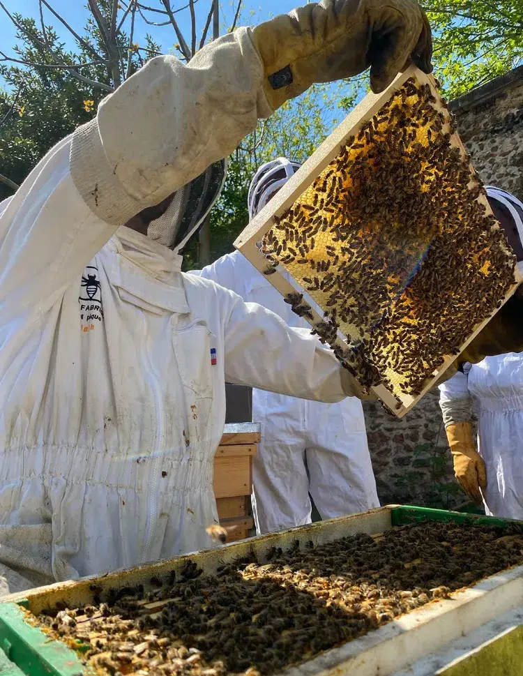 comment hiverner les ruches 2023