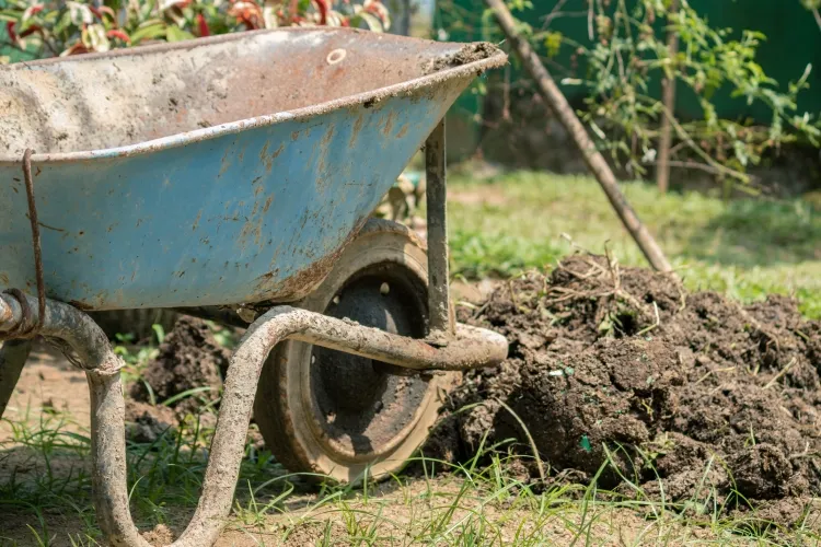 comment protéger son jardin du froid mettre couche matière organique paillis compost