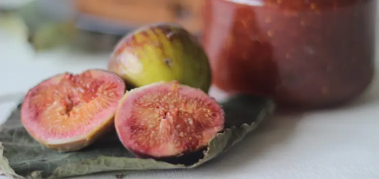 confiture de figues sans sucre recette facile sans sucre ajoutée allegée sans pectine