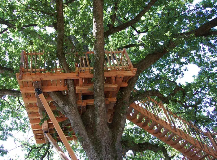 construire une cabane dans les arbres 2023