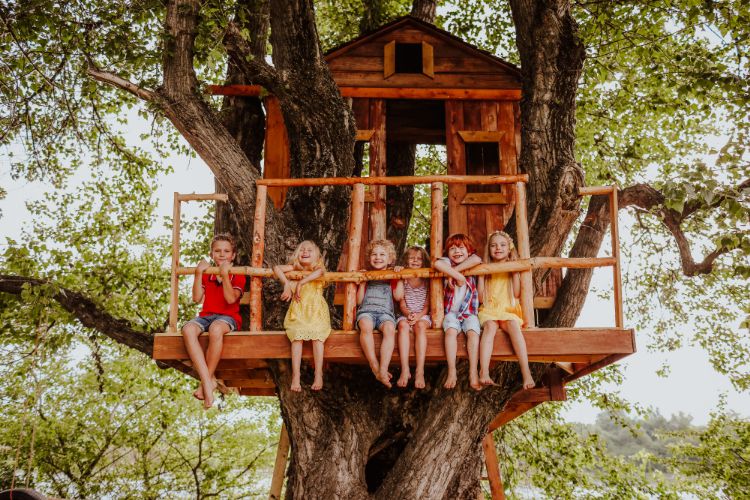 construire une cabane dans les arbres