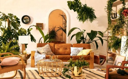décoration d'intérieur avec les plantes