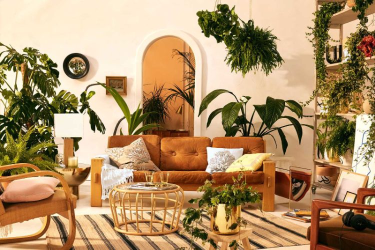 décoration d'intérieur avec les plantes