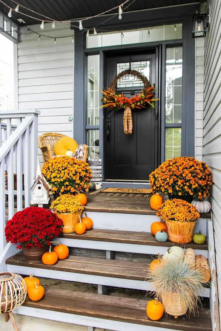 décoration extérieure avec des chrysanthèmes et citrouilles automne 2023 halloween
