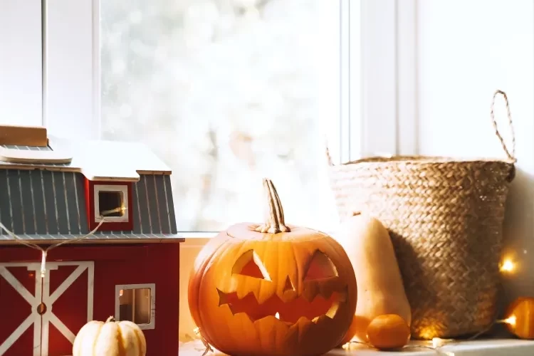 décorer une fenetre pour halloween rebord solide collection citrouilles potiron bronzés hilarants