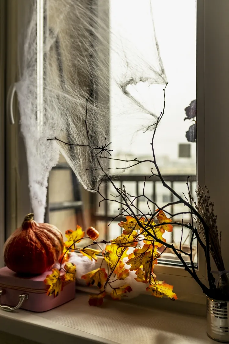 dessin fenetre halloween décor inévitable araignées squelettes chauves souris