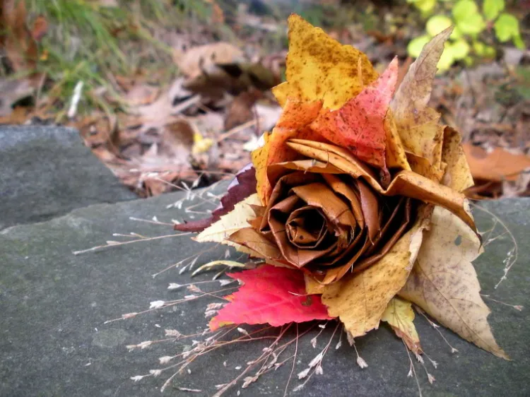 faire une rose aec des feuilles mortes